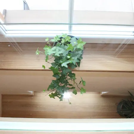 Honigberg Prázdninový dům *