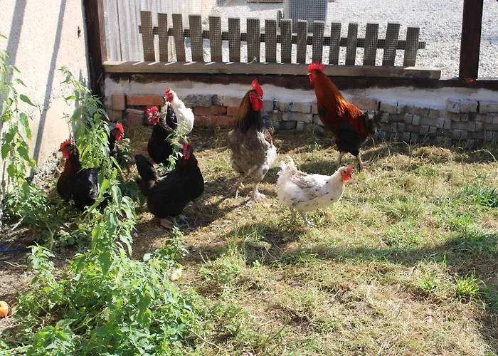 Honigberg Nyaraló Wallhausen (Schwabisch Hall)