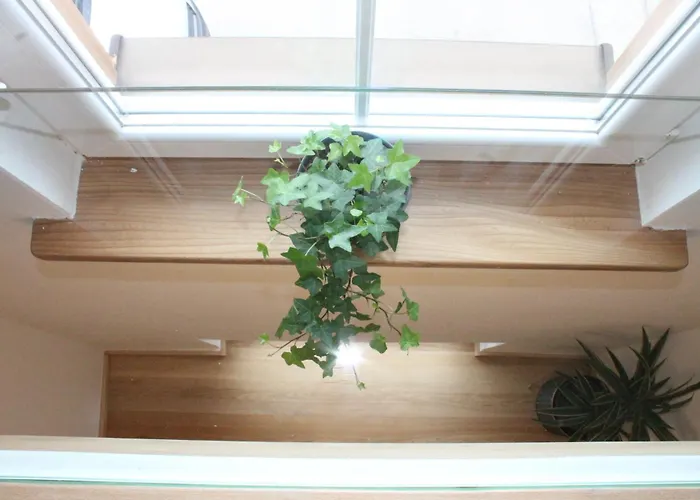 Honigberg Nyaraló *